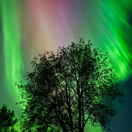 Idyllisk Enebolig! *