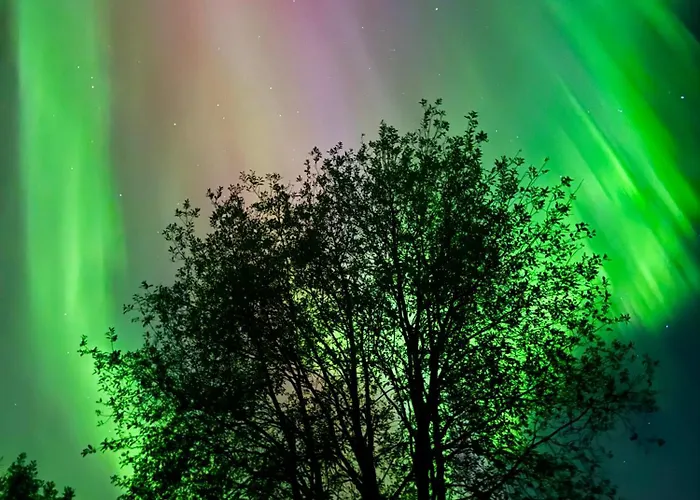 Idyllisk Enebolig! *